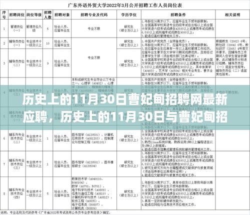 歷史上的11月30日，曹妃甸招聘網最新應聘現象深度分析與觀點闡述