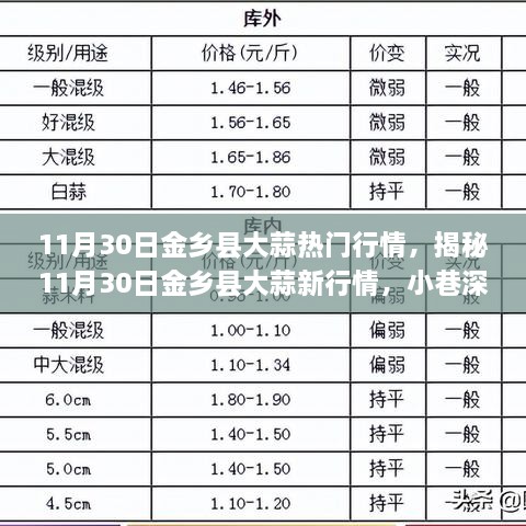 揭秘金鄉縣大蒜最新行情，小巷深處的獨特風味大蒜（11月30日）