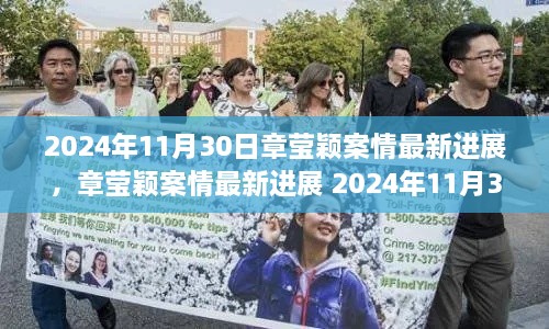 章瑩穎案最新進展報告，2024年11月30日案情更新與參與步驟指南