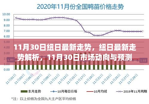 11月30日紐日走勢深度解析及市場動向預測