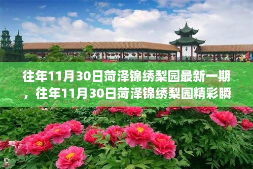 菏澤錦繡梨園，傳統(tǒng)戲曲魅力之旅的精彩瞬間探索