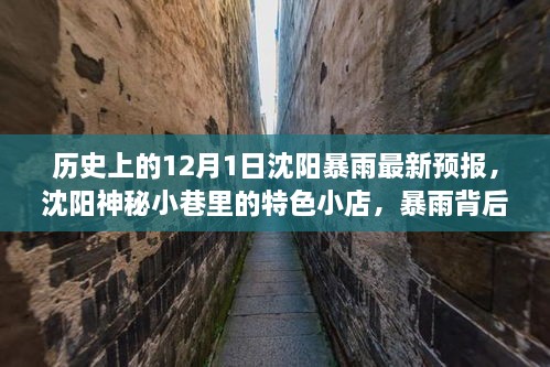 沈陽暴雨背后的神秘小巷寶藏，歷史、最新預(yù)報與特色小店探索