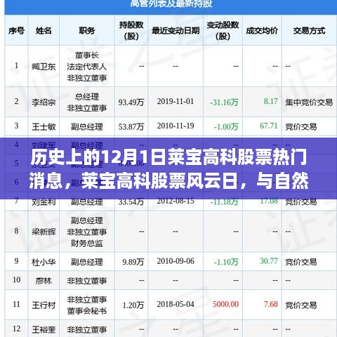 歷史上的12月1日萊寶高科股票熱門消息，萊寶高科股票風云日，與自然美景的奇妙邂逅，心靈旅行的啟程時刻