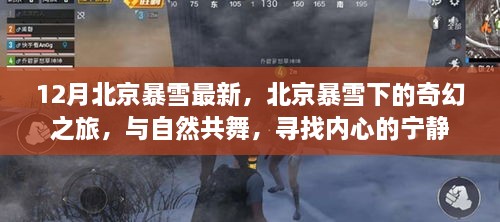 北京暴雪下的奇幻之旅，與自然共舞，探尋內(nèi)心寧靜的旅程