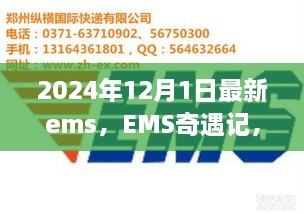 EMS奇遇記，快遞背后的溫暖故事揭秘，2024年12月最新篇章