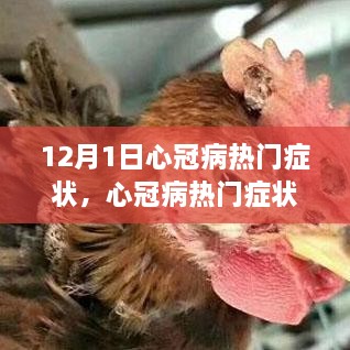 心冠病熱門癥狀深度解析，背景、事件與影響（最新更新）