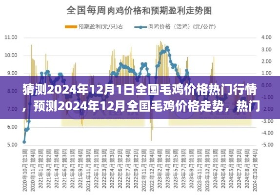 2024年12月全國(guó)毛雞價(jià)格行情預(yù)測(cè)與深度解析