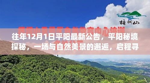 平陽秘境探秘之旅，與自然美景的邂逅，尋找寧靜之地啟程