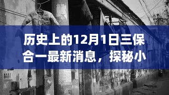 歷史上的12月1日三保合一揭秘，最新消息與小巷深處的獨特風味