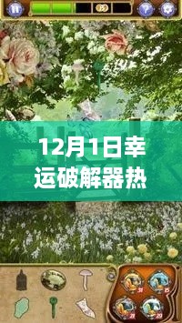 12月1日幸運破解器中文版，解鎖自然之美的犯罪風險探討