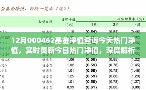 12月000462基金凈值查詢今天熱門凈值，實(shí)時(shí)更新今日熱門凈值，深度解析12月000462基金凈值查詢