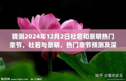 杜若與景明熱門章節(jié)預(yù)測(cè)深度分析，2024年12月2日展望