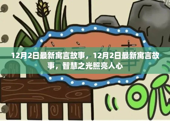 12月2日最新寓言故事，智慧之光照耀人心