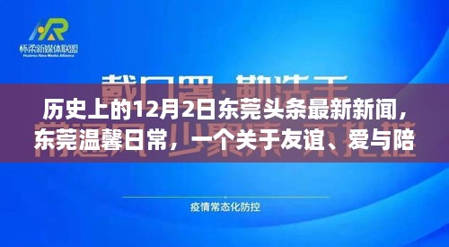 東莞頭條新聞，友誼與愛在冬日綻放——十二月二日的溫馨日常故事