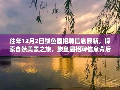 揭秘鲅魚圈招聘信息背后的自然美景之旅，寧靜秘境等你來探索