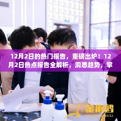 重磅熱點報告解析，洞悉趨勢，掌握未來（12月2日版）