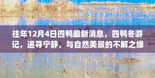 往年12月4日四鴨冬游記，追尋寧?kù)o與美景的不解之緣