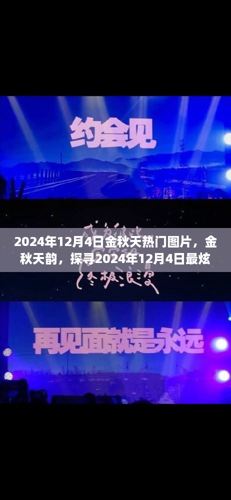 探尋金秋韻味，2024年12月4日熱門圖片精選