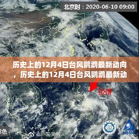 歷史上的12月4日臺風(fēng)鸚鵡最新動向，深度分析與觀點闡述