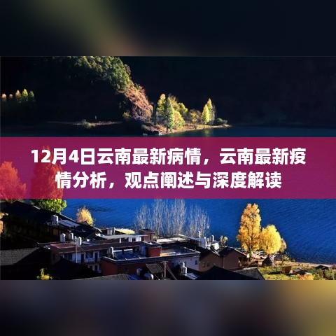 云南疫情最新動態(tài)，深度解讀與分析報告（12月4日更新）