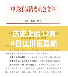 江川區(qū)人事任免深度解析，歷史背景、特性分析、競品對比與用戶群體洞察