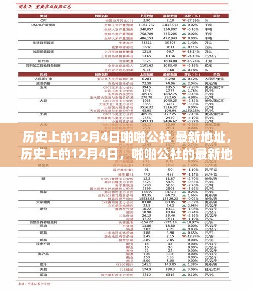 歷史上的12月4日，啪啪公社的最新地址及其背后的故事揭秘（科普文章）