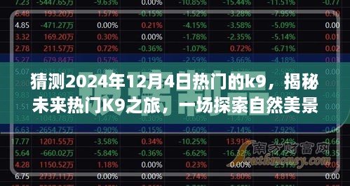 揭秘未來熱門K9之旅，啟程于2024年12月4日的自然美景探索之旅