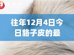 12月4日貉子皮最新價(jià)格及歷年趨勢(shì)解析，市場(chǎng)動(dòng)態(tài)一覽