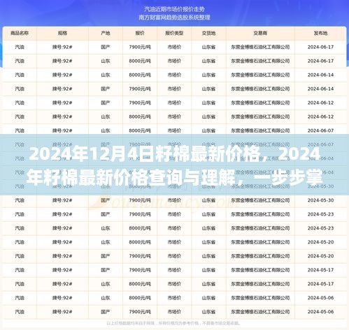 2024年12月4日籽棉最新價格，2024年籽棉最新價格查詢與理解，一步步掌握行情分析技能