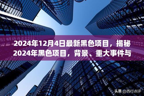 揭秘，2024年黑色項目的背景、重大事件與深遠影響全解析