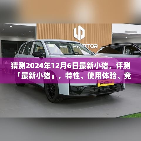 最新小豬測評報告，特性、體驗、競品對比及目標(biāo)用戶群體分析（預(yù)測至2024年）