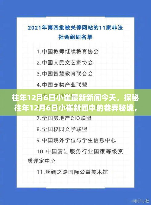 探秘往年12月6日小崔新聞中的巷弄秘境，小巷深處的特色小店揭秘