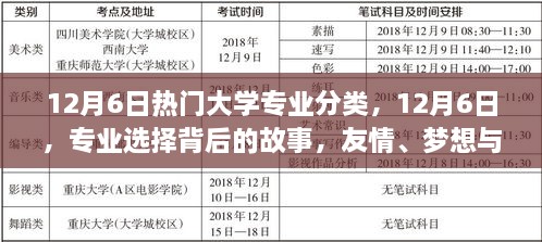 專業(yè)背后的故事，友情、夢(mèng)想與家的紐帶——12月6日熱門大學(xué)專業(yè)分類探索