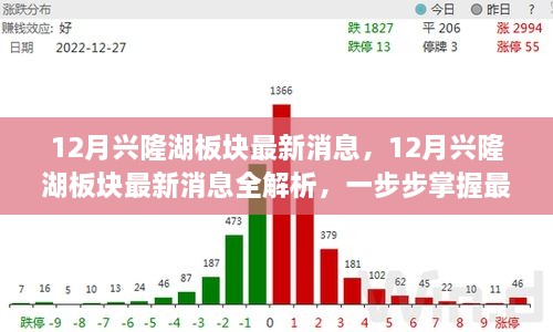 掌握興隆湖板塊最新動(dòng)態(tài)，全面解析十二月最新消息