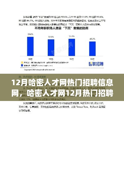 哈密人才網(wǎng)12月熱門招聘信息解讀，市場新動(dòng)向與求職策略深度探討