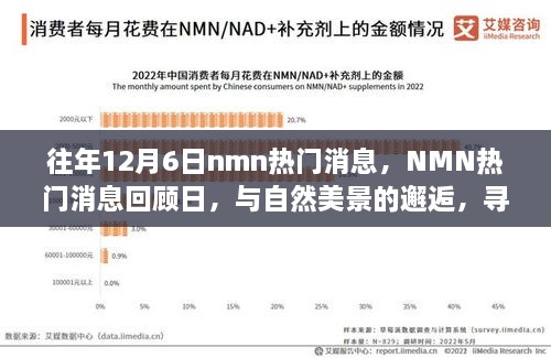 往年NMN熱門消息回顧日，與自然美景的邂逅，心靈寧靜之旅啟程