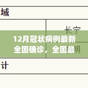 全國最新冠狀病例確診流程詳解，12月冠狀病例確診操作指南