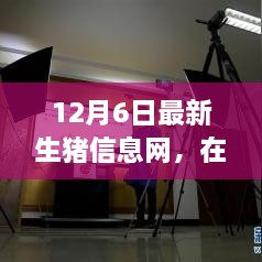 云端豬事，最新生豬信息小記（12月6日）