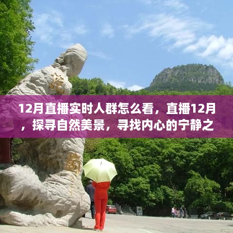 12月直播探尋自然美景，探尋內(nèi)心寧靜之旅的實時觀眾洞察