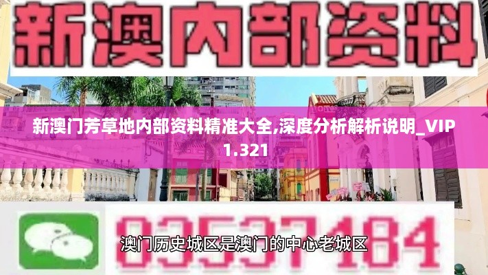 新澳門芳草地內部資料精準大全,深度分析解析說明_VIP1.321