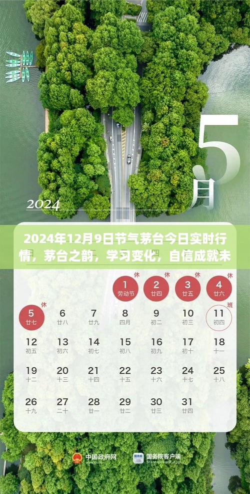 茅臺之韻，2024年12月9日實(shí)時行情啟示錄，洞悉變化，自信筑夢未來