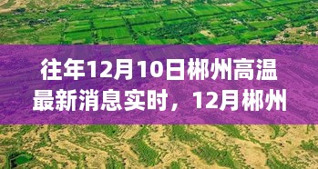 尋找內(nèi)心平靜的旅程，郴州高溫下的綠色奇跡與實(shí)時(shí)消息