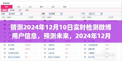 2024年12月10日微博用戶信息實(shí)時(shí)檢測(cè)探析，預(yù)測(cè)未來的深度洞察