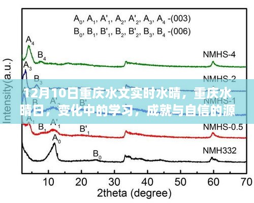 重慶水晴日下的學(xué)習(xí)成就與自信之源，變化中的探索與成長(zhǎng)之路