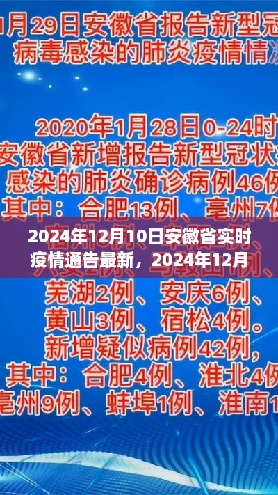 2024年12月10日安徽省實時疫情通告，最新分析與觀察