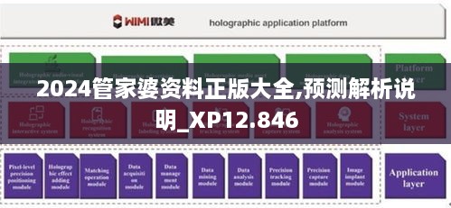 2024管家婆資料正版大全,預(yù)測解析說明_XP12.846