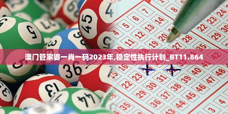 澳門(mén)管家婆一肖一碼2023年,穩(wěn)定性執(zhí)行計(jì)劃_BT11.864