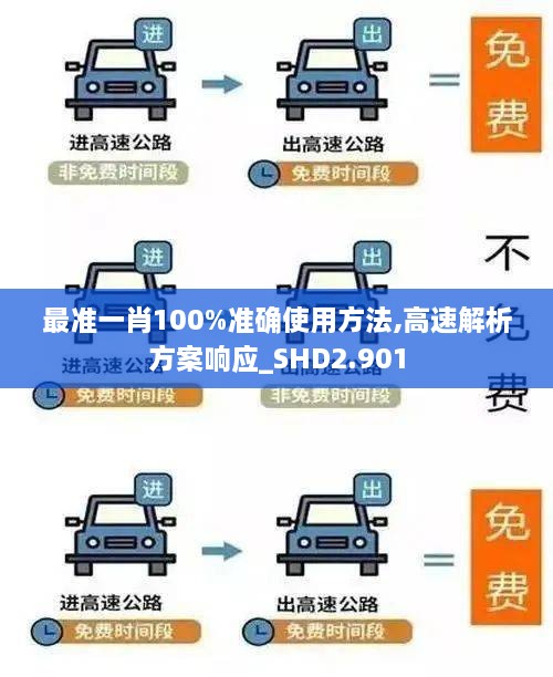 最準一肖100%準確使用方法,高速解析方案響應_SHD2.901