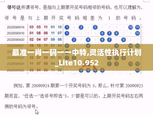 最準(zhǔn)一肖一碼一一中特,靈活性執(zhí)行計(jì)劃_Lite10.952