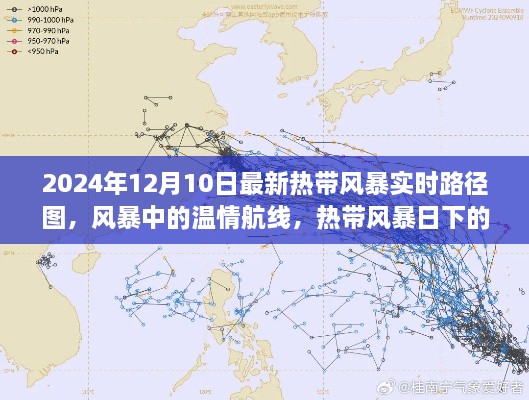 2024年熱帶風暴實時路徑圖，風暴中的溫情旅程與特殊旅程揭秘